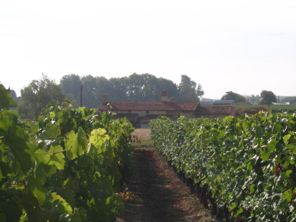 Le Mas D'Anjou Tigné Exterior photo