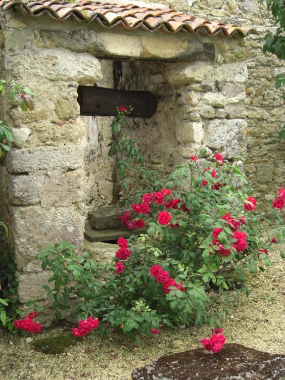 Le Mas D'Anjou Tigné Exterior photo